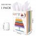 Sharlity Birthday Gift Bag 1pack rainbow